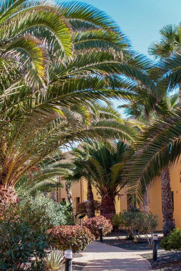 Fuerteventurapartments Corralejo Dış mekan fotoğraf