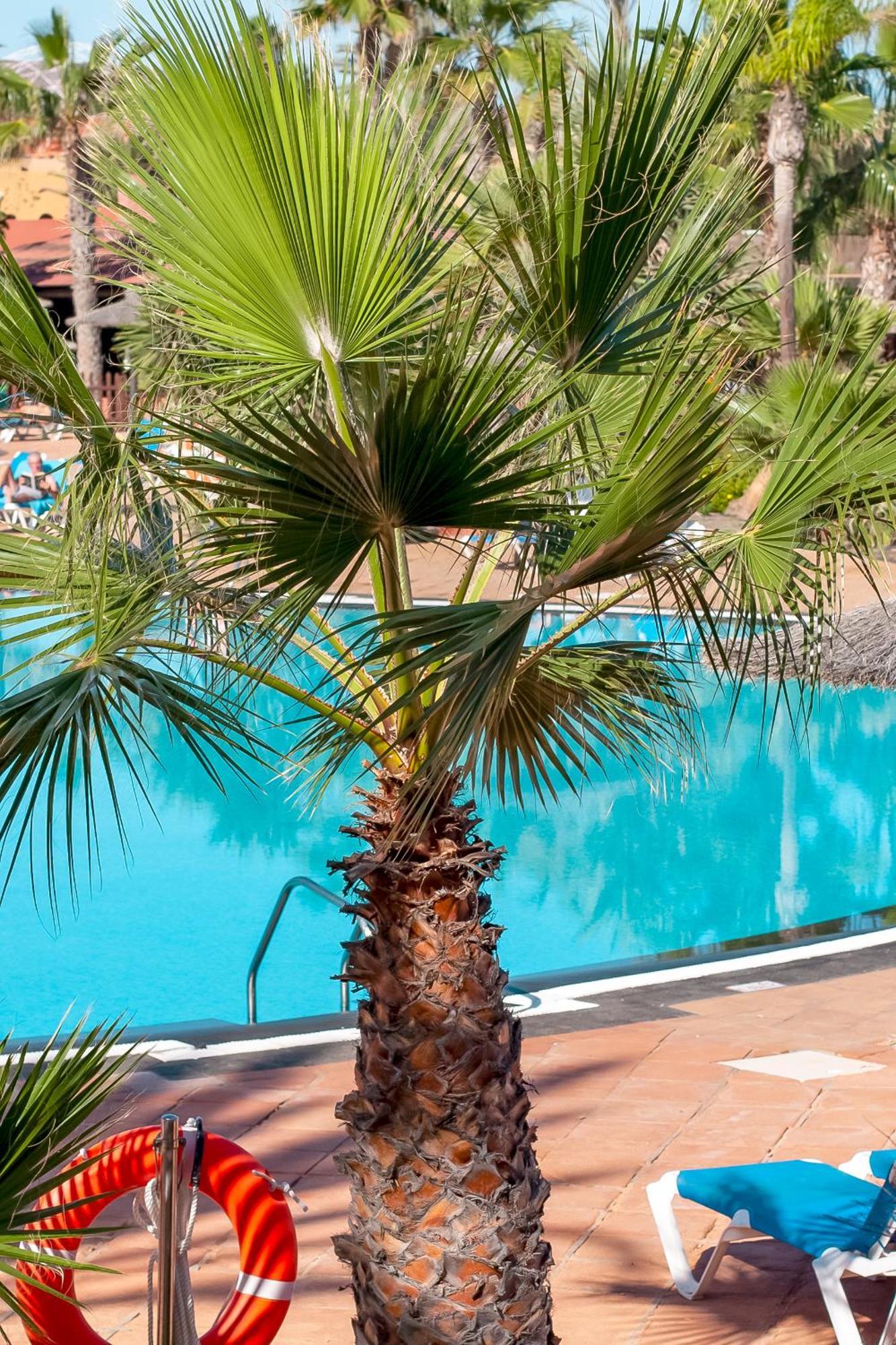 Fuerteventurapartments Corralejo Dış mekan fotoğraf